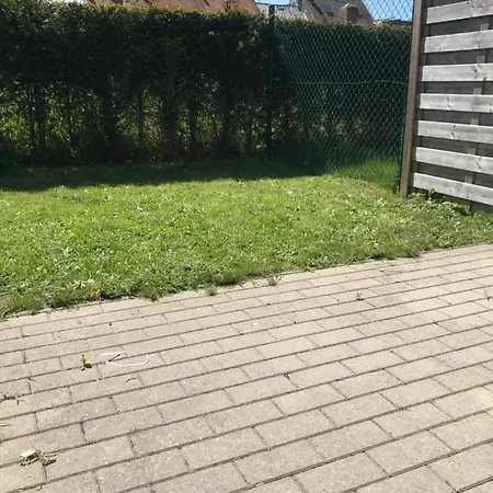 S *